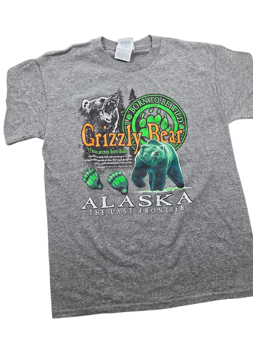 Kids Grizzly Bear Alaska Graphic Tee - Gray with Green & Orange Print
